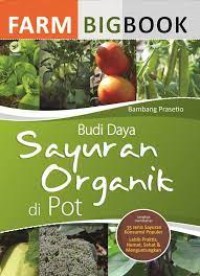 Budidaya Sayuran Organik di Pot